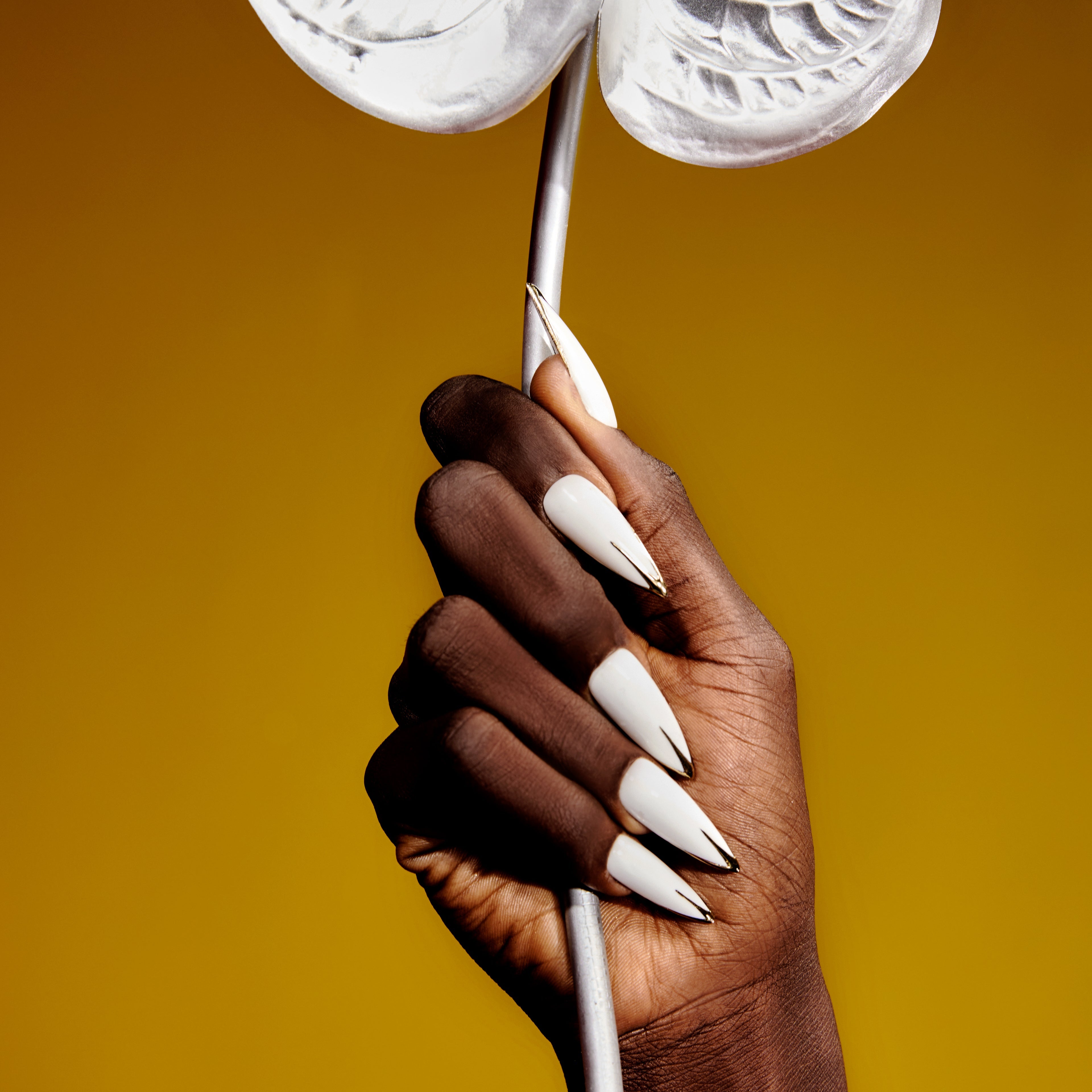 Coleção Tropia - Ammi