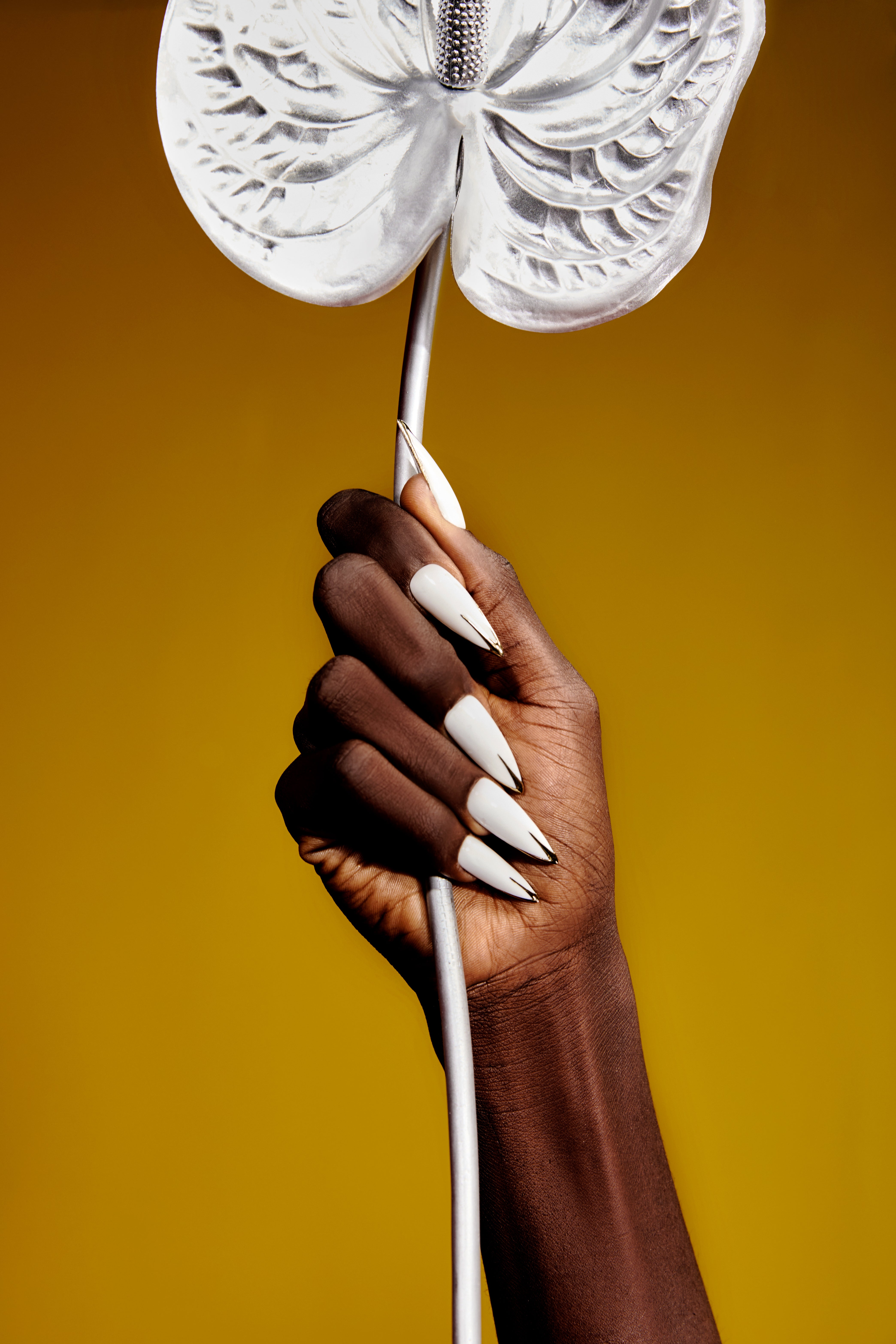 Coleção Tropia - Ammi